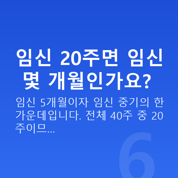 임신 20주차 임신 20주면 임신 몇 개월인가요?