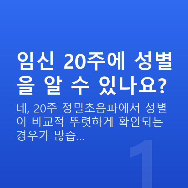 임신 20주차 성별 임신 20주에 성별을 알 수 있나요?