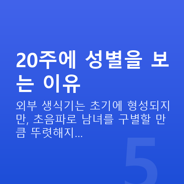 임신 20주차 성별 20주에 성별을 보는 이유