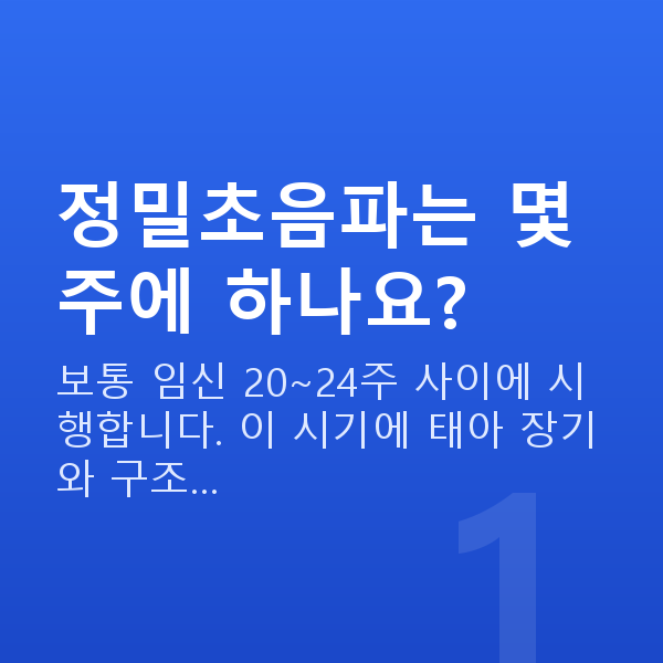 임신 20주차 정밀초음파 정밀초음파는 몇 주에 하나요?
