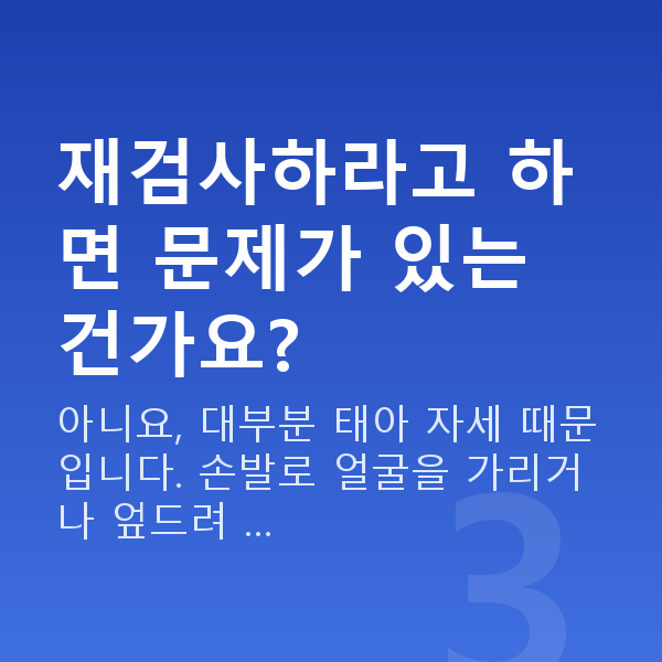 임신 20주차 정밀초음파 재검사하라고 하면 문제가 있는 건가요?