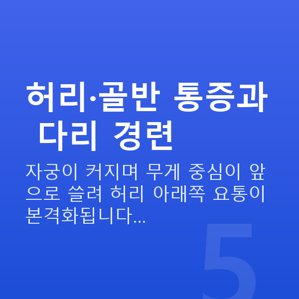 임신 20주차 증상 허리·골반 통증과 다리 경련