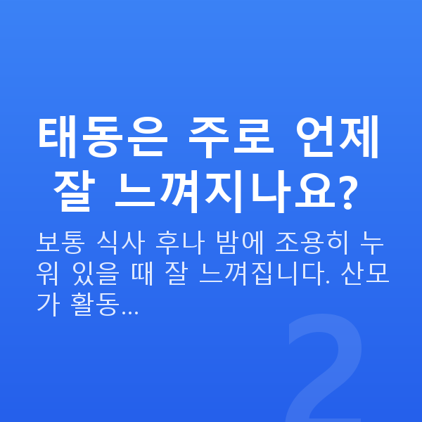 임신 20주차 태동 태동은 주로 언제 잘 느껴지나요?