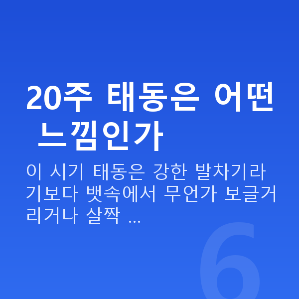 임신 20주차 태동 20주 태동은 어떤 느낌인가