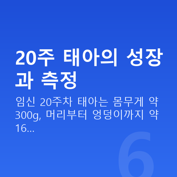 임신 20주차 태아몸무게 20주 태아의 성장과 측정