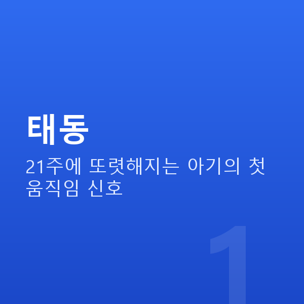 임신 21주차 태동