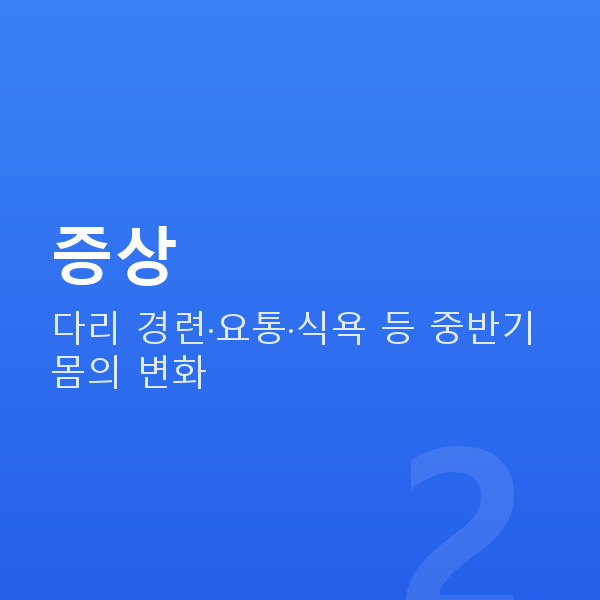 임신 21주차 증상