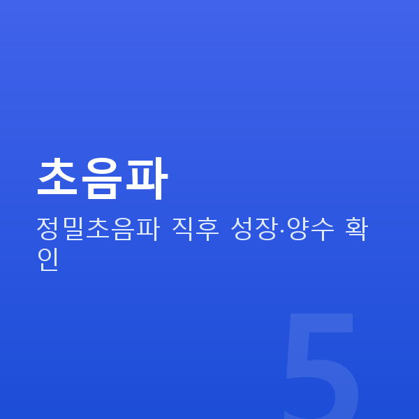 임신 21주차 초음파