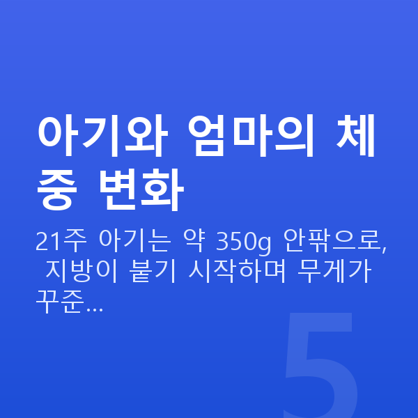 임신 21주차 몸무게 아기와 엄마의 체중 변화