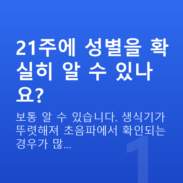 임신 21주차 성별 21주에 성별을 확실히 알 수 있나요?