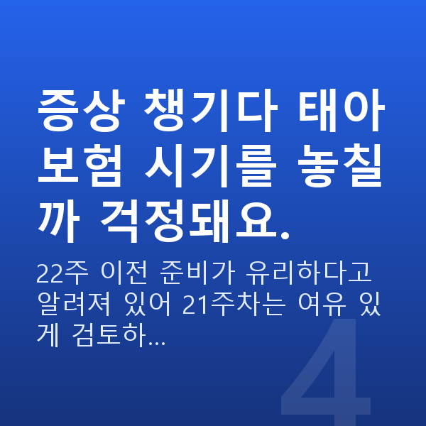임신 21주차 증상 증상 챙기다 태아보험 시기를 놓칠까 걱정돼요.