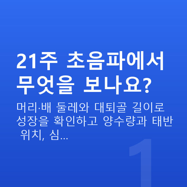 임신 21주차 초음파 21주 초음파에서 무엇을 보나요?