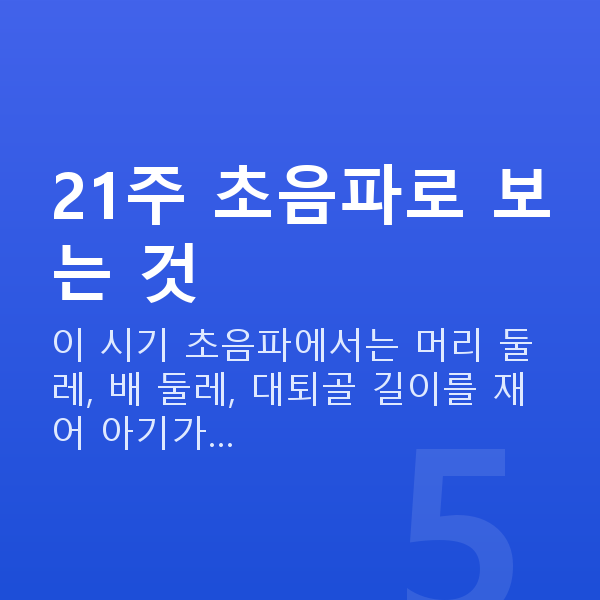 임신 21주차 초음파 21주 초음파로 보는 것