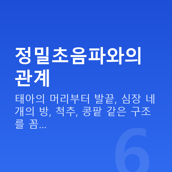 임신 21주차 초음파 정밀초음파와의 관계