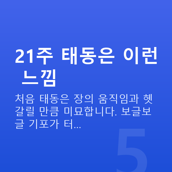 임신 21주차 태동 21주 태동은 이런 느낌