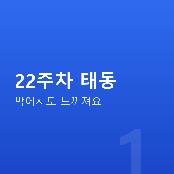 임신 22주차 22주차 태동
