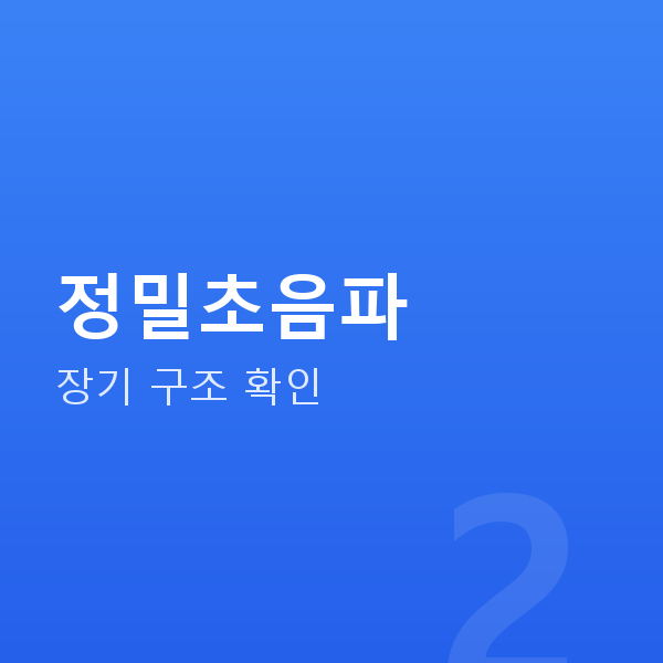 임신 22주차 정밀초음파