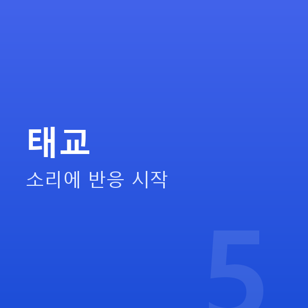 임신 22주차 태교
