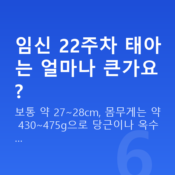 임신 22주차 임신 22주차 태아는 얼마나 큰가요?