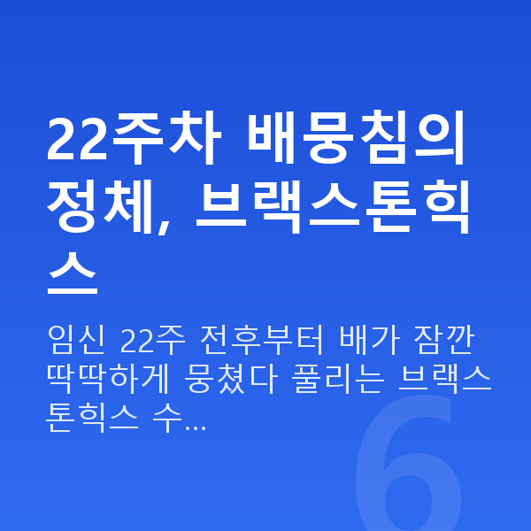 임신 22주차 배뭉침 22주차 배뭉침의 정체, 브랙스톤힉스