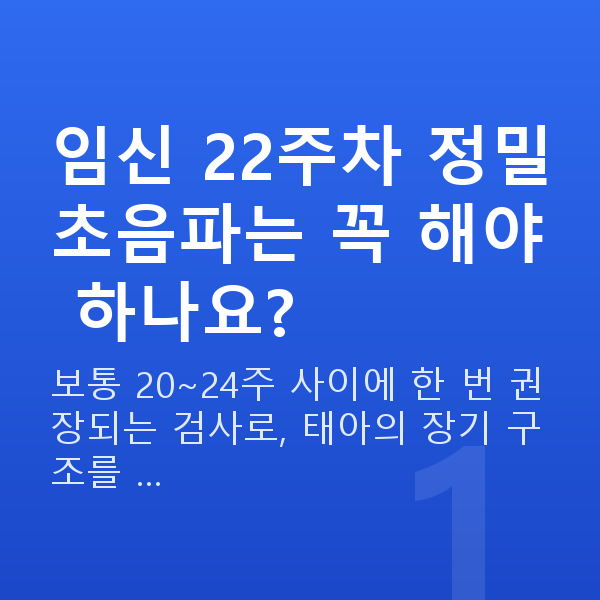 임신 22주차 정밀초음파 임신 22주차 정밀초음파는 꼭 해야 하나요?
