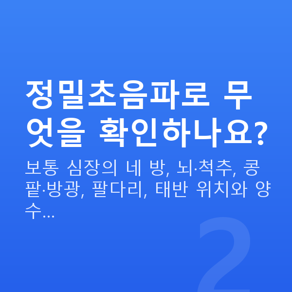 임신 22주차 정밀초음파 정밀초음파로 무엇을 확인하나요?