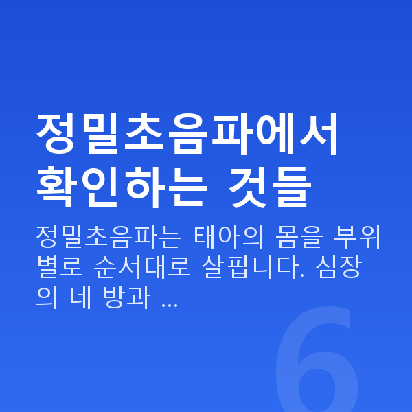 임신 22주차 정밀초음파 정밀초음파에서 확인하는 것들