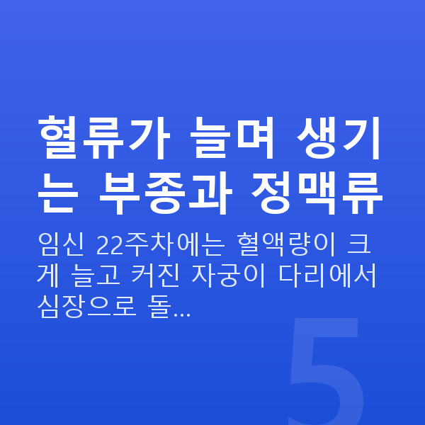 임신 22주차 증상 혈류가 늘며 생기는 부종과 정맥류