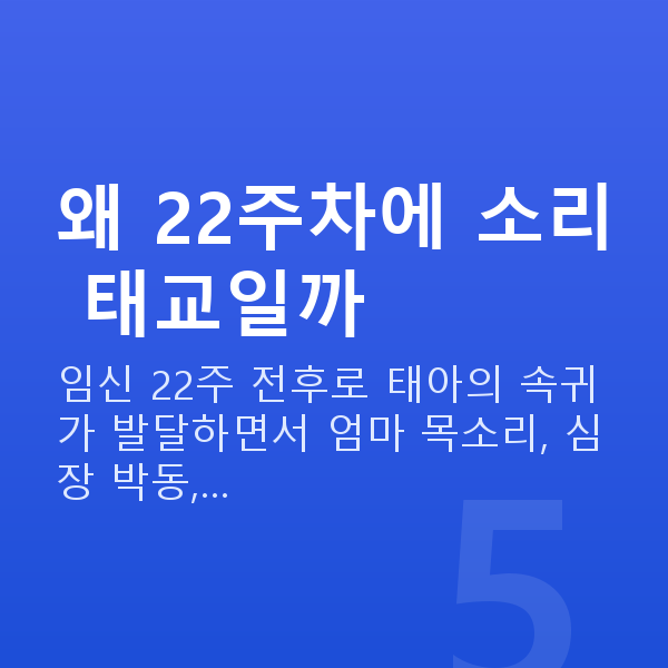 임신 22주차 태교 왜 22주차에 소리 태교일까