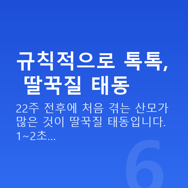 임신 22주차 태동 규칙적으로 톡톡, 딸꾹질 태동