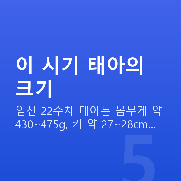 임신 22주차 태아크기 이 시기 태아의 크기
