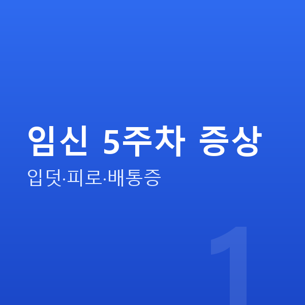 임신 5주차 임신 5주차 증상