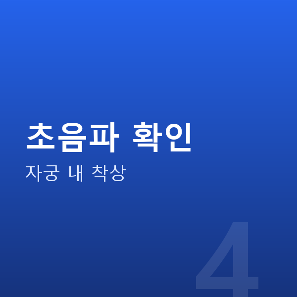 임신 5주차 초음파 확인