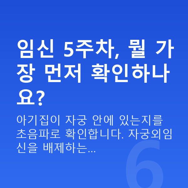 임신 5주차 임신 5주차, 뭘 가장 먼저 확인하나요?