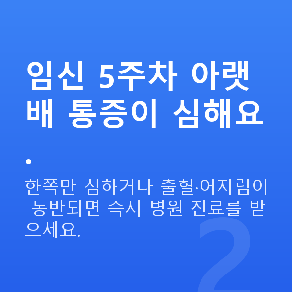 임신 5주차 배통증 임신 5주차 아랫배 통증이 심해요.
