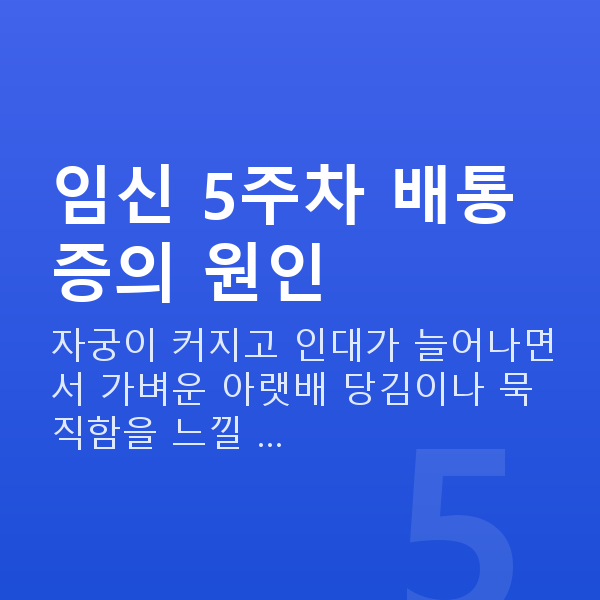 임신 5주차 배통증 임신 5주차 배통증의 원인