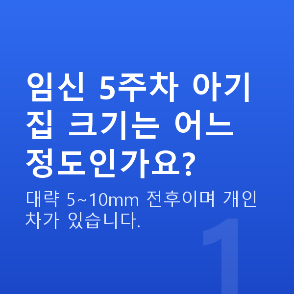 임신 5주차 아기집 임신 5주차 아기집 크기는 어느 정도인가요?