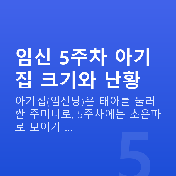 임신 5주차 아기집 임신 5주차 아기집 크기와 난황