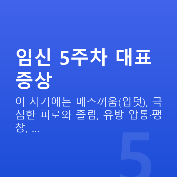 임신 5주차 증상 임신 5주차 대표 증상
