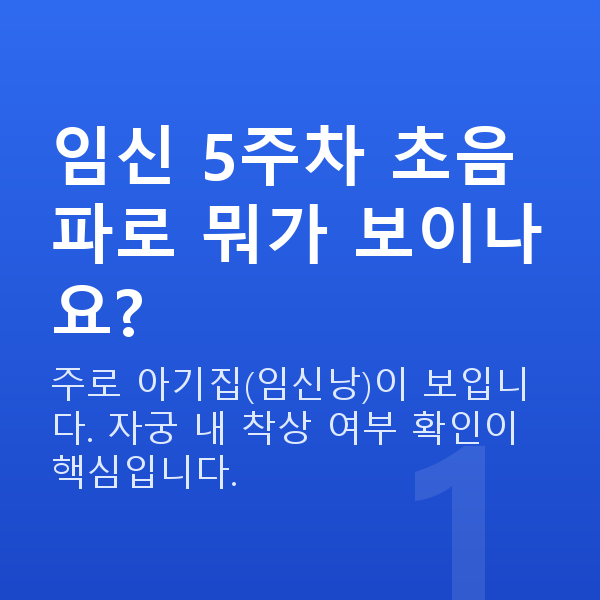 임신 5주차 초음파 임신 5주차 초음파로 뭐가 보이나요?