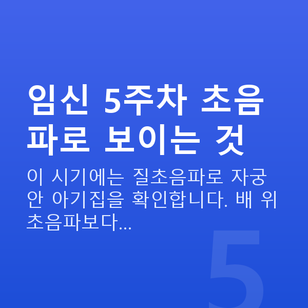임신 5주차 초음파 임신 5주차 초음파로 보이는 것