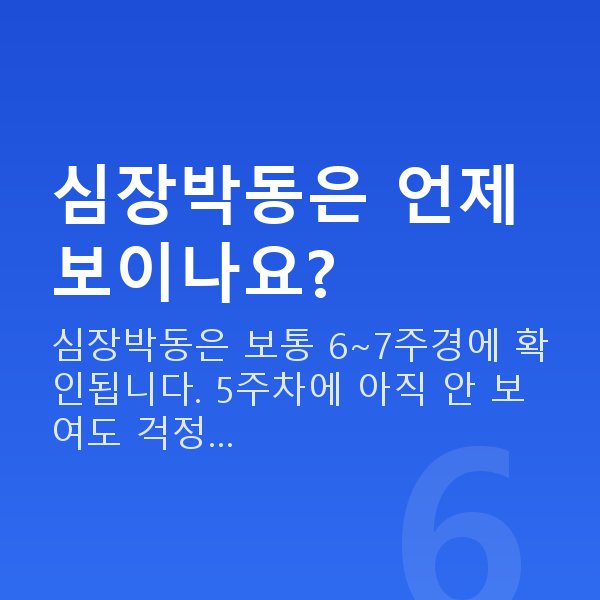 임신 5주차 초음파 심장박동은 언제 보이나요?