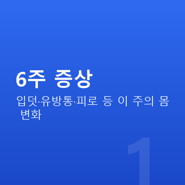 임신 6주차 6주 증상