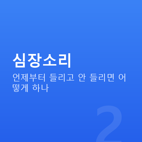임신 6주차 심장소리