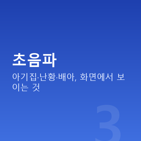 임신 6주차 초음파