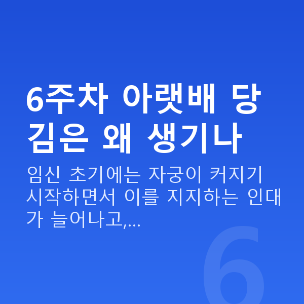 임신 6주차 배통증 6주차 아랫배 당김은 왜 생기나