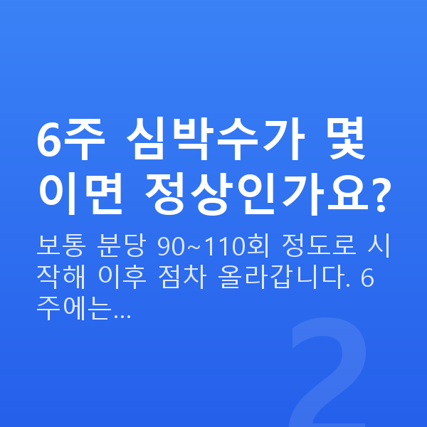 임신 6주차 심장소리 6주 심박수가 몇이면 정상인가요?