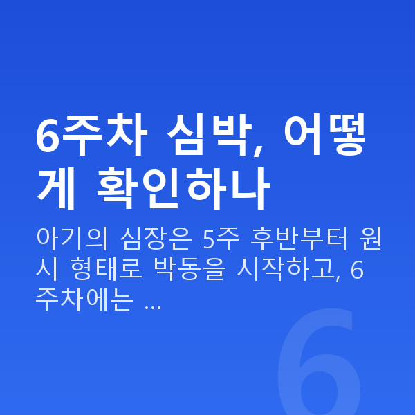 임신 6주차 심장소리 6주차 심박, 어떻게 확인하나