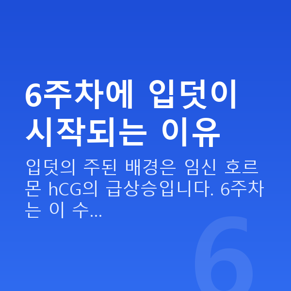 임신 6주차 입덧 6주차에 입덧이 시작되는 이유