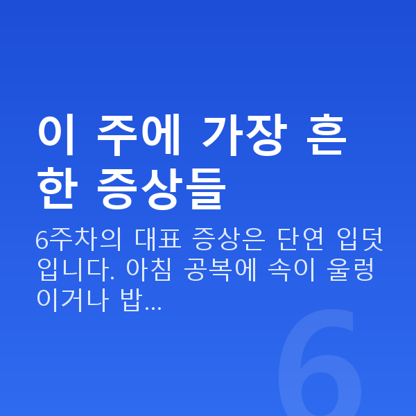 임신 6주차 증상 이 주에 가장 흔한 증상들